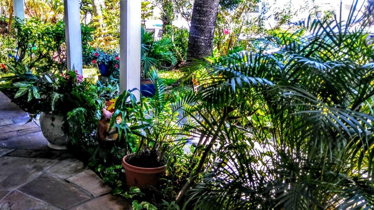 Boca Ciega Bay Apartment St. Pete Beach Εξωτερικό φωτογραφία